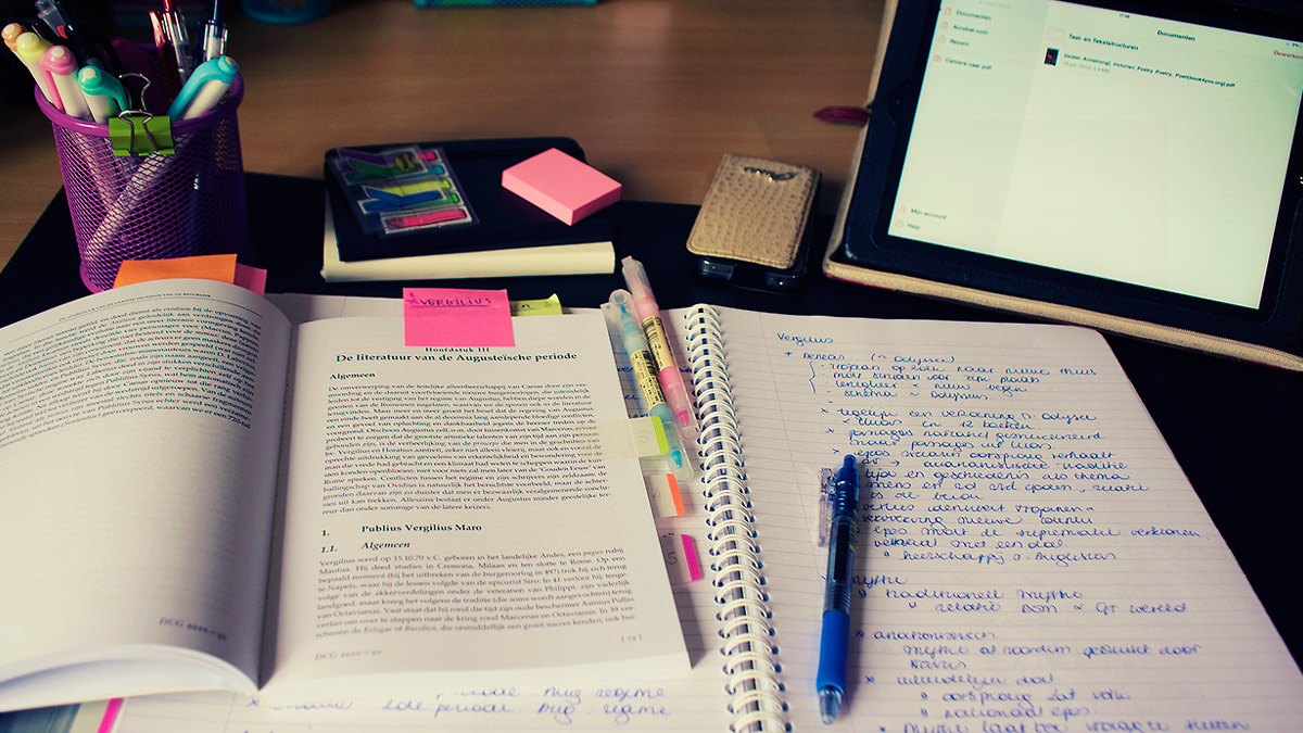 Estudar Concurso Público 2025